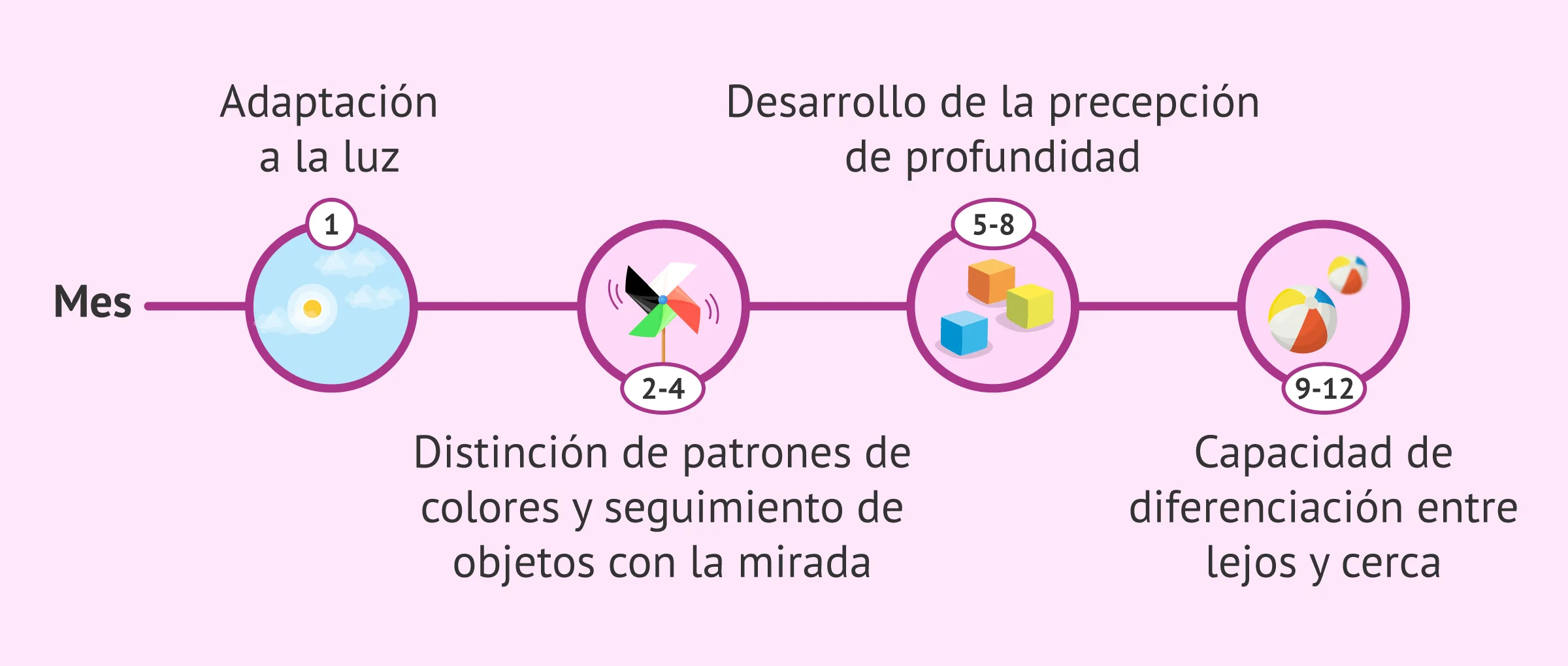 Evolución de la visión con la edad